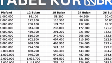 Syarat Pengajuan KUR BRI 2025: Simak Agar Proses Cepat Cair!
