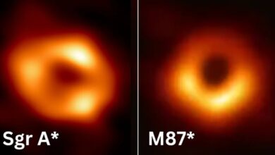 Teori Gravitasi Kuantum Terungkap: Lubang Hitam Versi Kuantum Kini Terbaca
