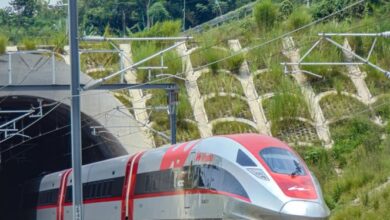 Whoosh Tabrak Biawak, 10 Kali Delay di 2025: Apa Penyebabnya?