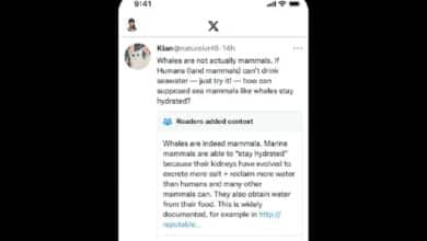 X Akan Gunakan Agen AI untuk Tulis Community Note dan Cek Fakta