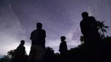 BRIN: Hujan Meteor Perseid Warnai Langit Indonesia 12-13 Agustus