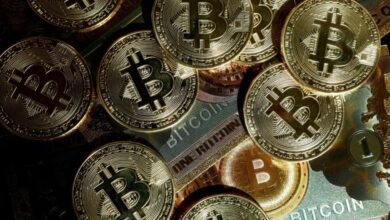 Badai Koreksi Menerpa Bitcoin: Investor Ritel Panik Jual, Paus Serok Cuan
