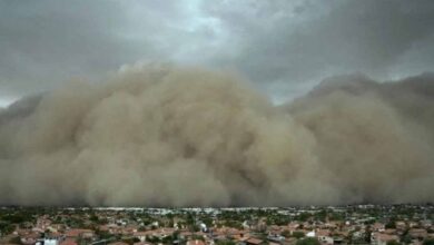 Badai Pasir Haboob Melanda Arizona, Gelapkan Langit dan Ganggu Aktivitas