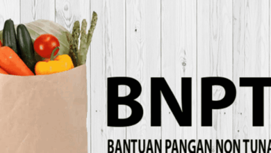 Bagaimana Cara Mendaftar Menjadi Penerima BPNT Baru? Panduan Lengkap dan Terbaru 2025