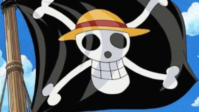 Bendera One Piece Disinggung Puan di Sidang Tahunan MPR: Sorot Budaya Populer