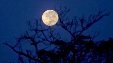 Bulan Purnama Sturgeon Moon Malam Ini, Bisa Ganggu Tidur Manusia - Butota.id
