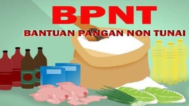 Cara Lihat Daftar Penerima Bansos PKH dan BPNT Mudah Lewat HP, Cek Disini!