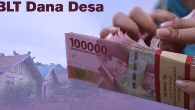 Cek Online BLT Dana Desa Rp600 Ribu 2025: Periode Terbaru, Gunakan NIK KTP Sekarang