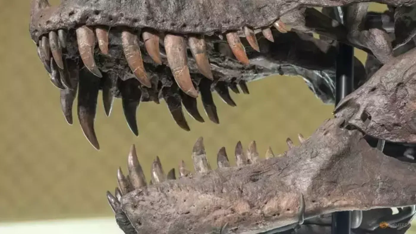 Data Terbaru Ungkap T-Rex Memiliki Kekuatan Gigitan Tertinggi di Dunia