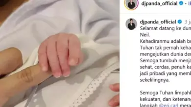 Erika Carlina Melahirkan, DJ Panda Menerima Reaksi Haru dan Hujatan