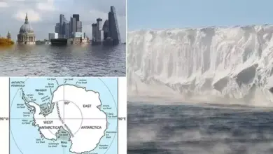Es Antartika Barat Runtuh, Kota Pesisir di Dunia Terancam Tenggelam