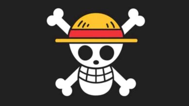 Harga Bendera One Piece Melonjak Jelang 17 Agustus 2025, Banyak Diburu!