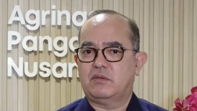 Harta Kekayaan Joao Angelo: Eks Dirut PT Agrinas Mundur Usai Dana Danantara Gagal