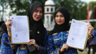 Jadwal Resmi PPPK Paruh Waktu 2025: 6 Tahapan Pengusulan dan Penetapan Nomor Induk