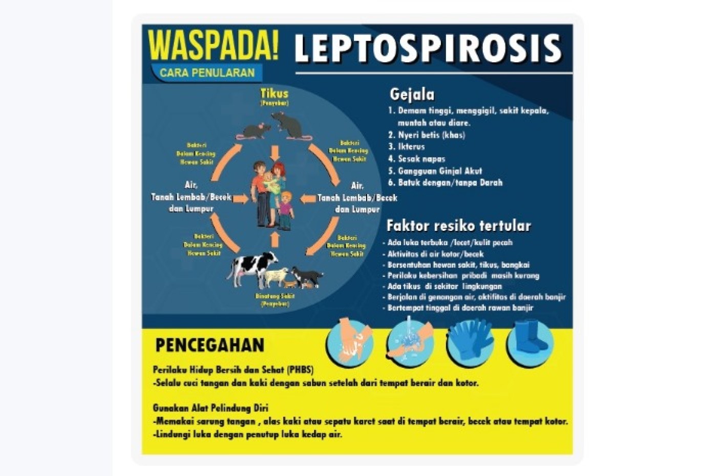 Kasus Leptospirosis Meningkat Pesat di Klaten, Perhatian 2025 Diperlukan