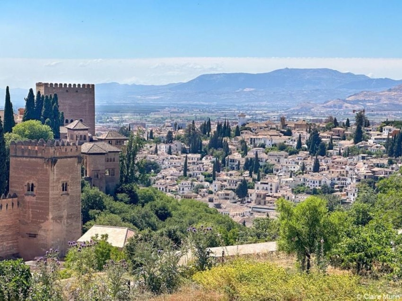 Kematian Dilarang Terjadi di Kota Ini: Temukan Alasan Ilmiahnya!