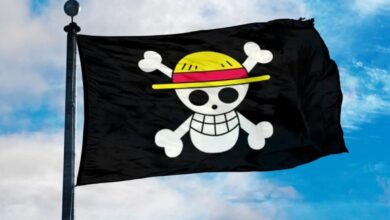 Kibarkan Bendera One Piece: Ini Bukan Makar dan Tak Bisa Dipidana