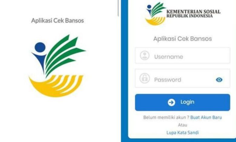 Klarifikasi Penjelasan DTSEN dan Hubungannya dengan BPS Terkait Penyaluran Bansos 2025
