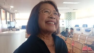 Lab 45 Menolak Sebutan Makar untuk Pengibaran Bendera One Piece: Pejabat Kurang Pergaulan