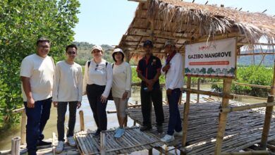 MPMX Tanam 100 Ribu Bibit di Golo Sepang, Lanjutkan Rehabilitasi Mangrove