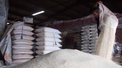 Mentan Klaim Harga Beras Turun di 13 Provinsi, Simak Daftar Lengkapnya!