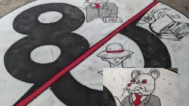 Mural One Piece Dibungkam, Warga Sragen Viral Sindir Koruptor dengan Keras