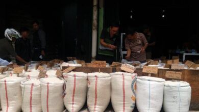 Omzet Pedagang Beras di Pasar Induk Cipinang Anjlok Hingga 50 Persen