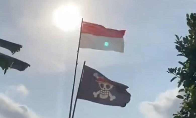 Pakar: Pemerintah Tak Perlu Reaktif soal Pengibaran Bendera One Piece