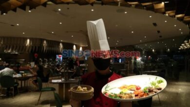 Panduan Lengkap: Cara Menghitung Royalti Lagu untuk Kafe dan Restoran