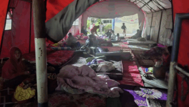 Pemerintah Fokus Penuhi Kebutuhan Dasar Korban Gempa Poso Dengan Cepat