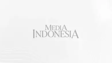 Puluhan Pipa Paralon Tertancam di Sawah, Warga Blora Kaget dan Khawatir