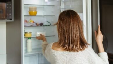 Seberapa Sering Kulkas Harus Dibersihkan? Temukan Waktu Idealnya untuk Higienis