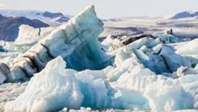 Serat Optik Bawah Laut Ungkap Runtuhnya Gletser Greenland yang Mencemaskan