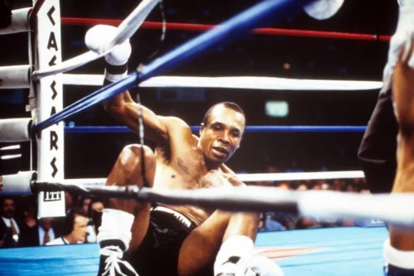 Siapa Petinju dengan Pukulan Terkeras Menurut Sugar Ray Leonard?