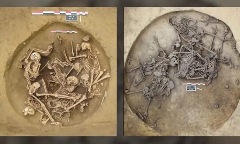 Temuan Arkeologi: Bukti Kekerasan Brutal di Prancis 6.300 Tahun Lalu