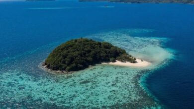 Tetangga Indonesia Jadi 'Negara' Pertama Punya Presiden dan Menteri AI