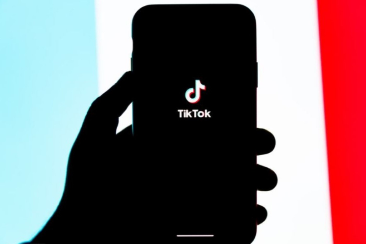 TikTok Didemo Karyawan Jerman, PHK 150 Pegawai Diganti AI - Teknologi Butota.id