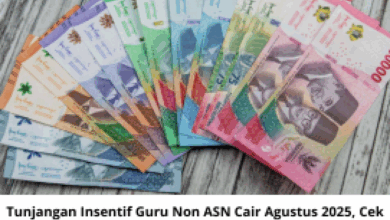 Tunjangan Insentif Guru Non ASN Cair Agustus 2025, Cek Syarat & Cara Penerimaannya