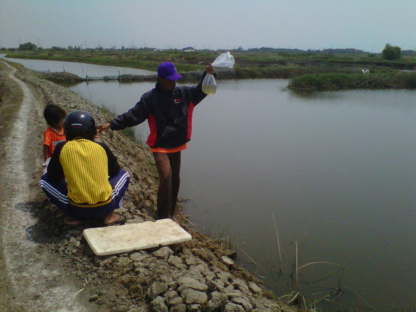 Udang Indonesia Terpapar Radioaktif, Kepercayaan Pasar Berisiko Menurun