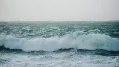 Unesa Ciptakan Aplikasi Peringatan Dini Tsunami untuk Tuna Netra