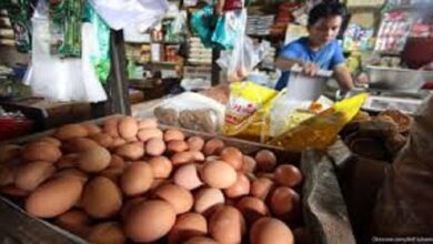 Update Harga Pangan Akhir Pekan: Beras, Telur, dan Ayam Terus Naik