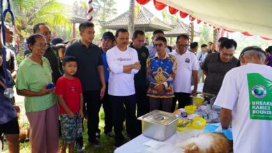 550 Kasus Gigitan Anjing di Jembrana, Pemprov Bali Percepat Vaksinasi