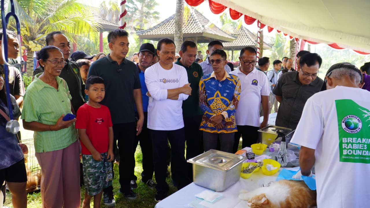 550 Kasus Gigitan Anjing di Jembrana, Pemprov Bali Percepat Vaksinasi