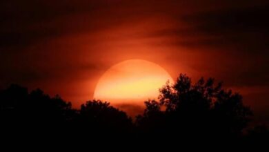 Apakah Aman Melihat Gerhana Bulan Total dengan Mata Telanjang? Simak Penjelasannya!