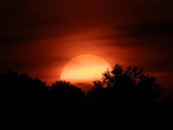 Apakah Aman Melihat Gerhana Bulan Total dengan Mata Telanjang? Simak Penjelasannya!