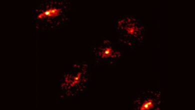 Astronom Temukan Einstein Cross Gelap pada Gambar Galaksi HerS-3