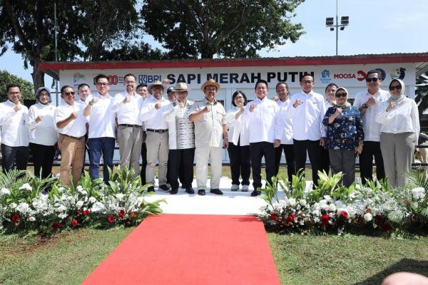 BRI Dukung Program Sapi Merah Putih untuk Swasembada Pangan Nasional