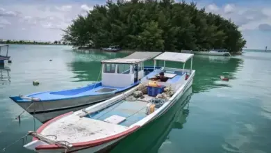 BRIN: 29 Pulau di Kepulauan Seribu Terancam Hilang Karena Perubahan Iklim