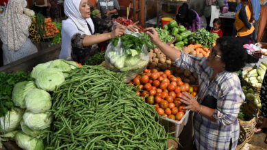 BRIN Sebut Sinar Gama Solusi Efektif Perpanjang Umur Bahan Pangan