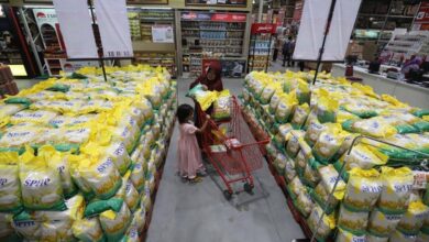 Bulog Bongkar Kualitas Beras SPHP dan Bangpang: Layak Dikonsumsi?